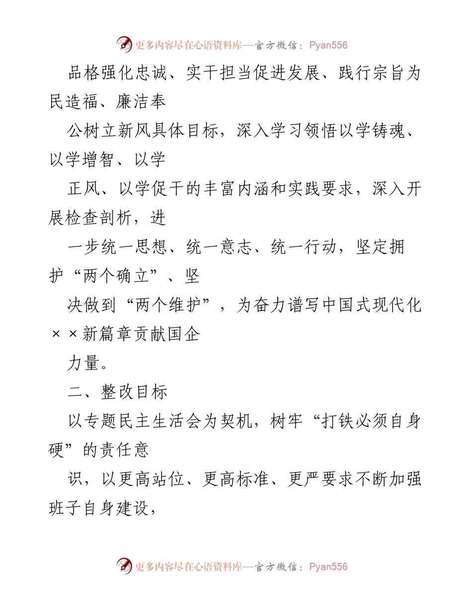 [整改方案] 专题民主生活会 - 确保整改落实，推动高质量发展.docx_第2页