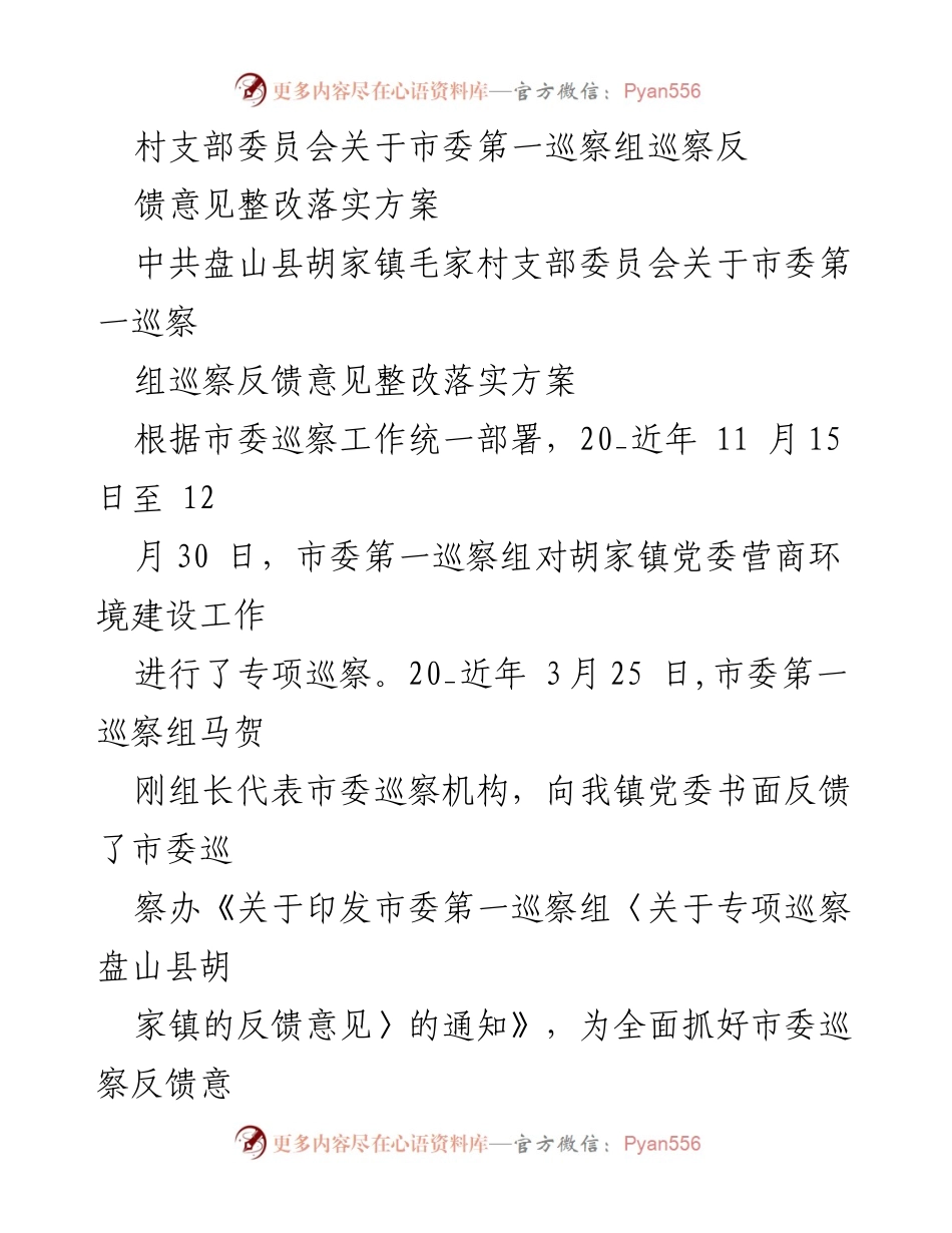 [整改方案] 村支部会议 - 巡察反馈意见整改落实方案.docx_第1页