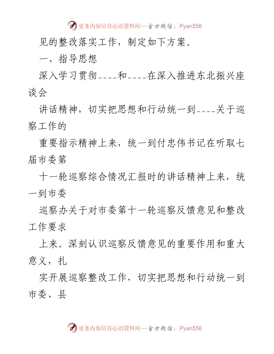 [整改方案] 村支部会议 - 巡察反馈意见整改落实方案.docx_第2页