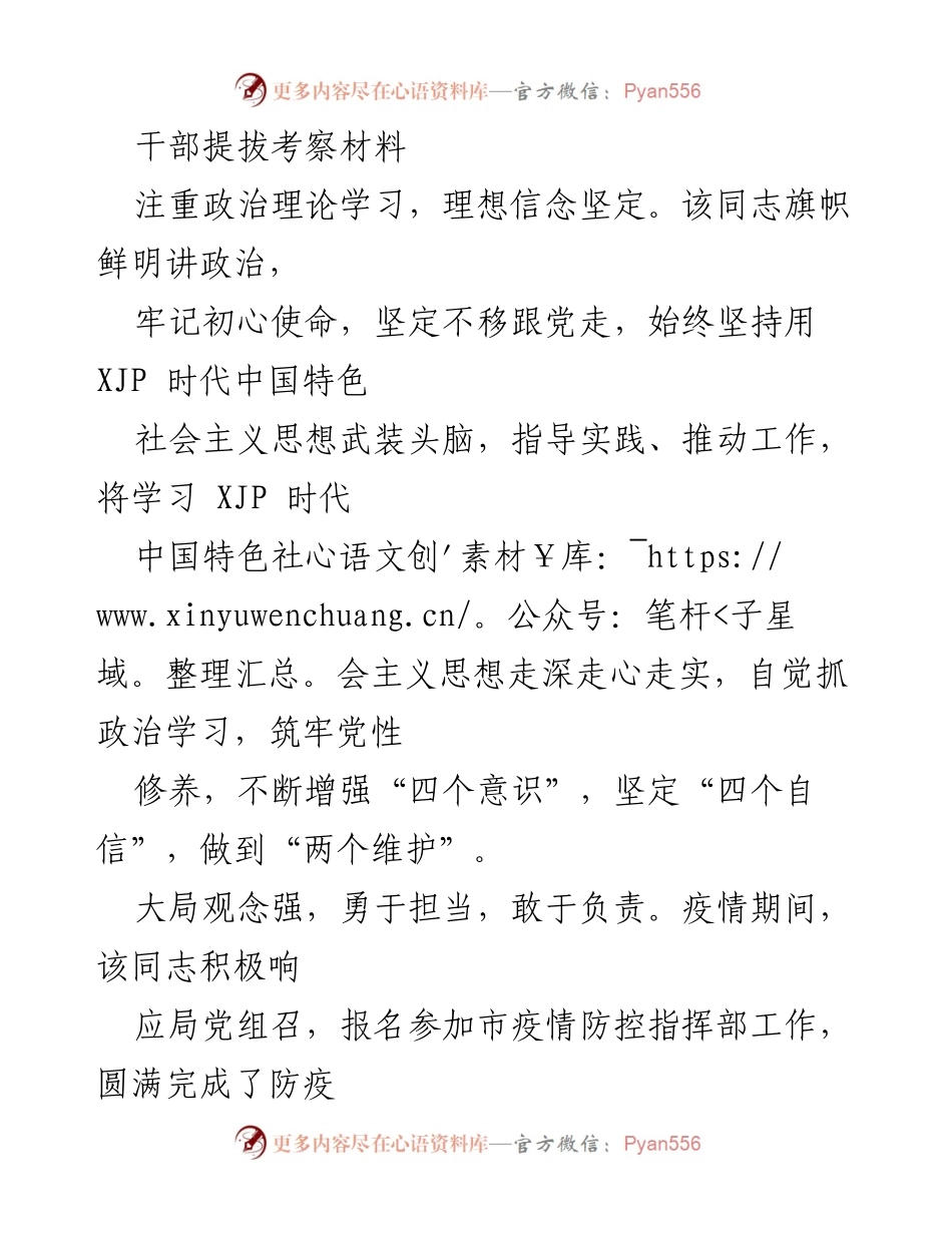 [考察材料] 干部提拔 - 优秀干部考察材料总结.docx_第1页