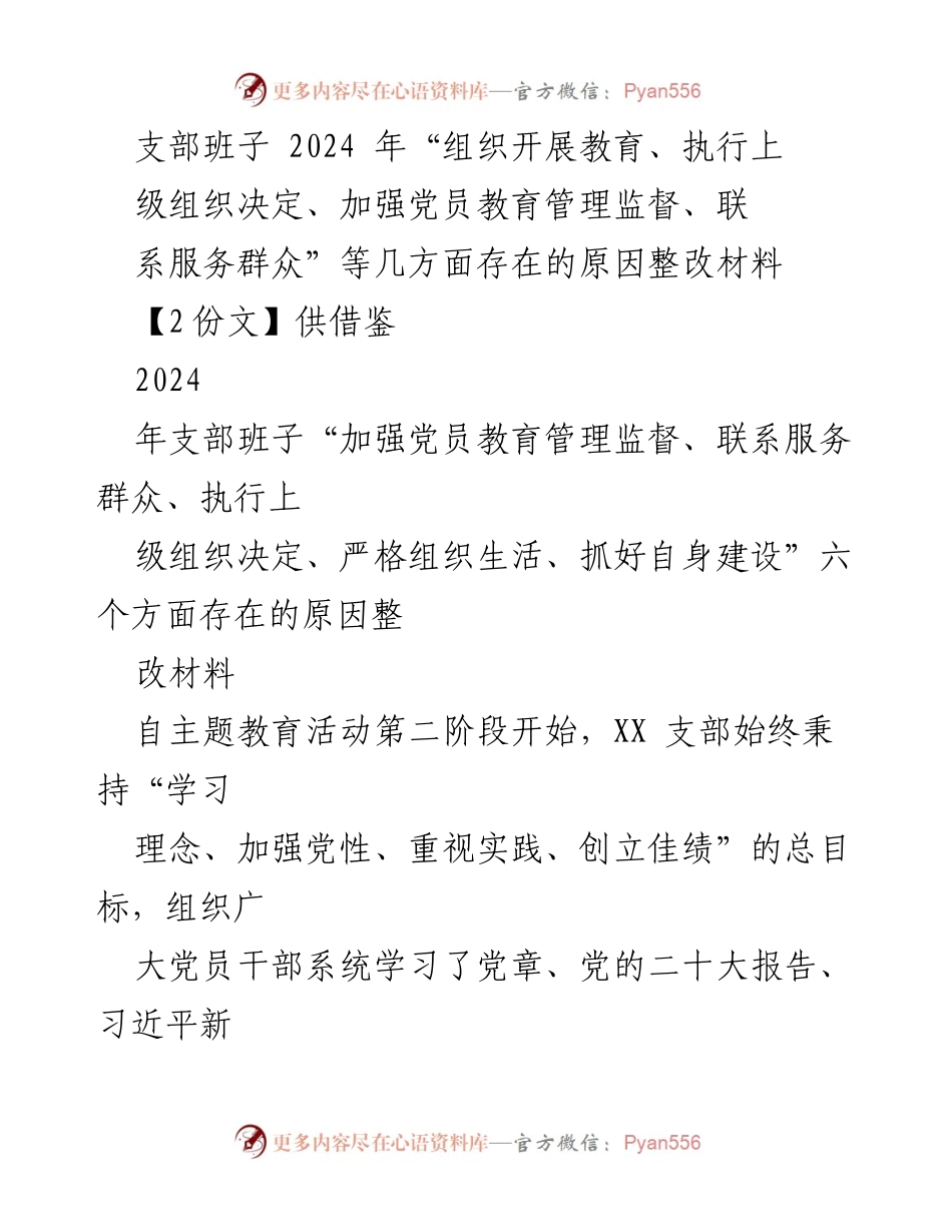 [整改材料] 主题教育活动 - 支部班子整改措施汇报与问题分析.docx_第1页