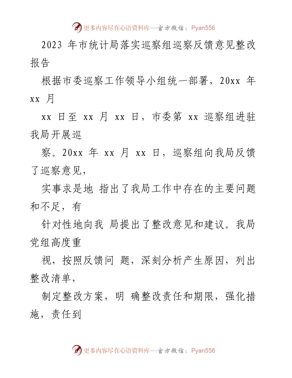 [整改报告] 市统计局 - 2023年巡察反馈意见整改工作总结.docx_第1页