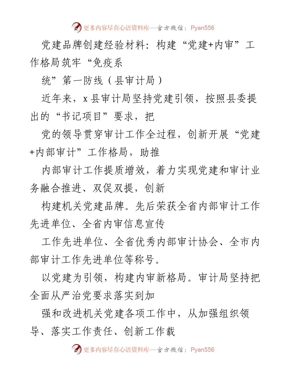 [经验材料] 党建工作会议 - “党建+内审”工作格局经验分享.docx_第1页