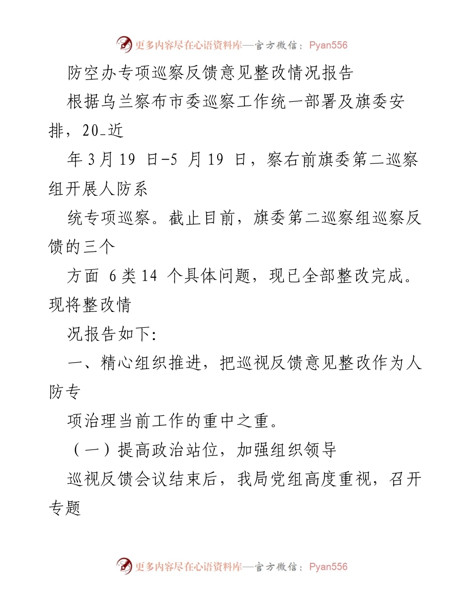[整改报告] 人防系统专项巡察 - 防空办专项巡察反馈意见整改情况报告.docx_第1页