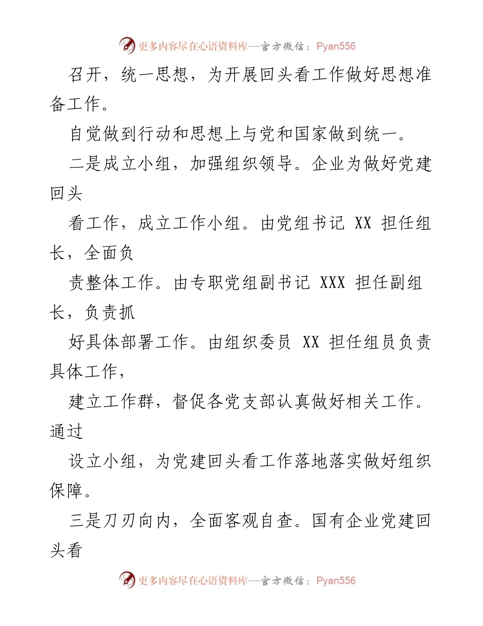 [情况报告] 党建工作 - 企业党建回头看工作落实情况报告.docx_第2页