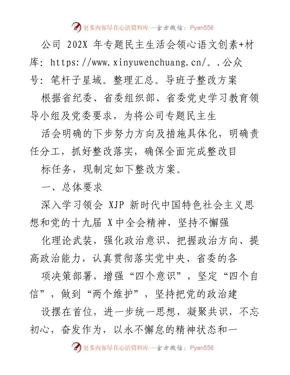 [整改方案] 专题民主生活会 - 公司领导班子整改方案.docx_第1页