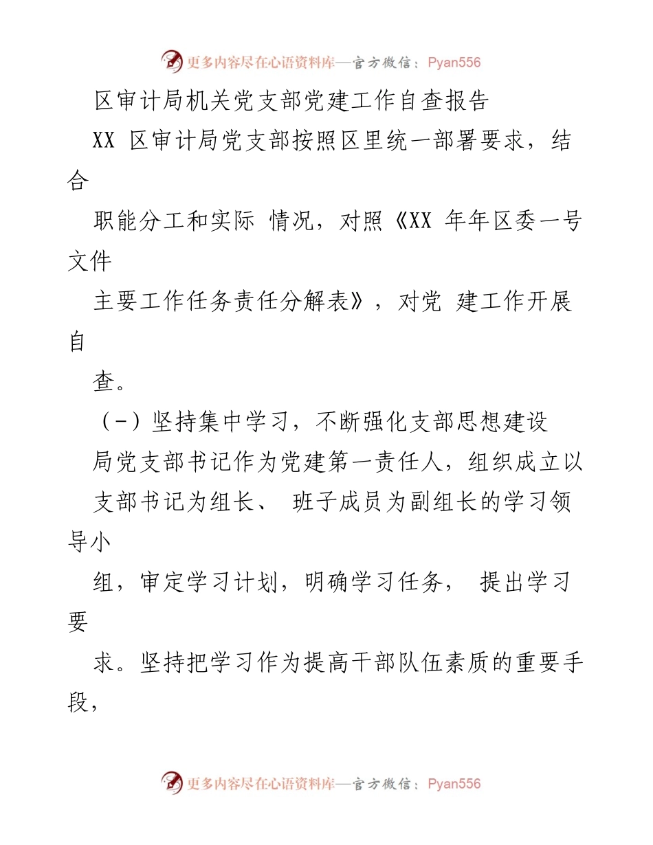 [自查报告] 党建工作 - 区审计局机关党支部党建工作自查报告.docx_第1页