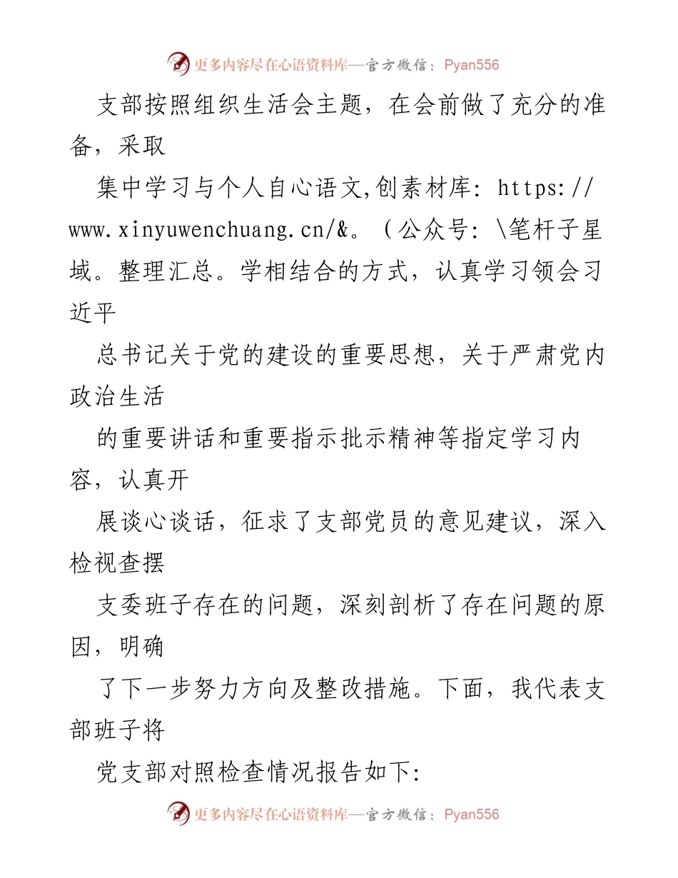 [整改材料] 党支部组织生活会 - 党支部班子存在问题及整改措施报告.docx_第2页