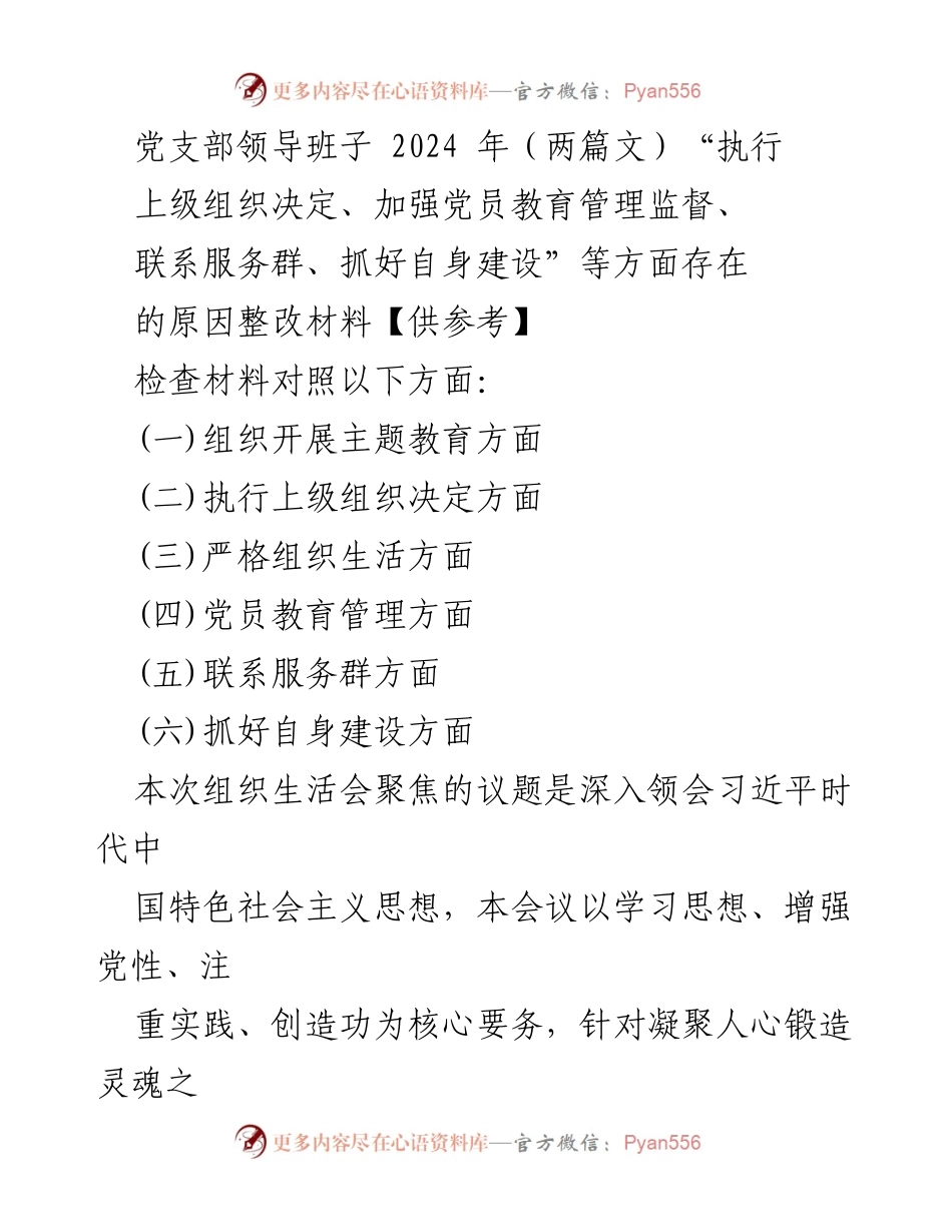 [整改材料] 党支部组织生活会 - 党支部整改措施与问题自查报告.docx_第1页