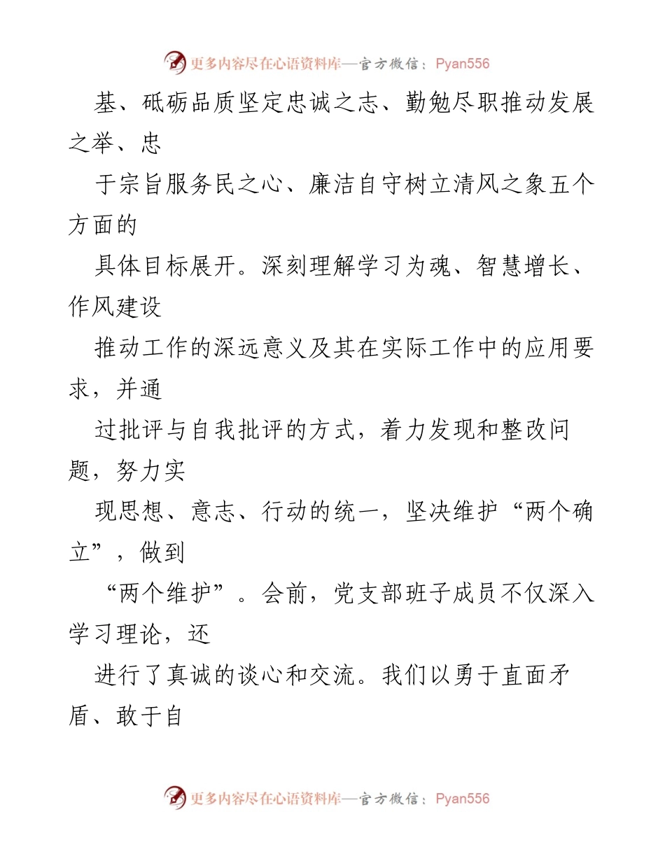 [整改材料] 党支部组织生活会 - 党支部整改措施与问题自查报告.docx_第2页