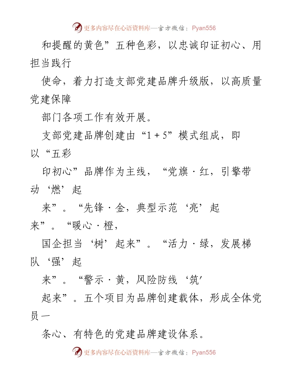 [方案] 党建活动 - 2024年“五彩印初心”党建品牌建设方案.docx_第2页