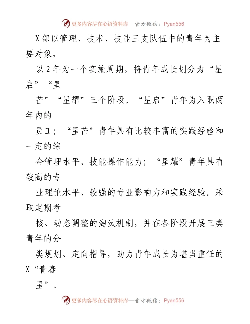 [经验材料] 企业转型发展 - 打造“青春星”人才培养计划，助力企业全面转型.docx_第2页