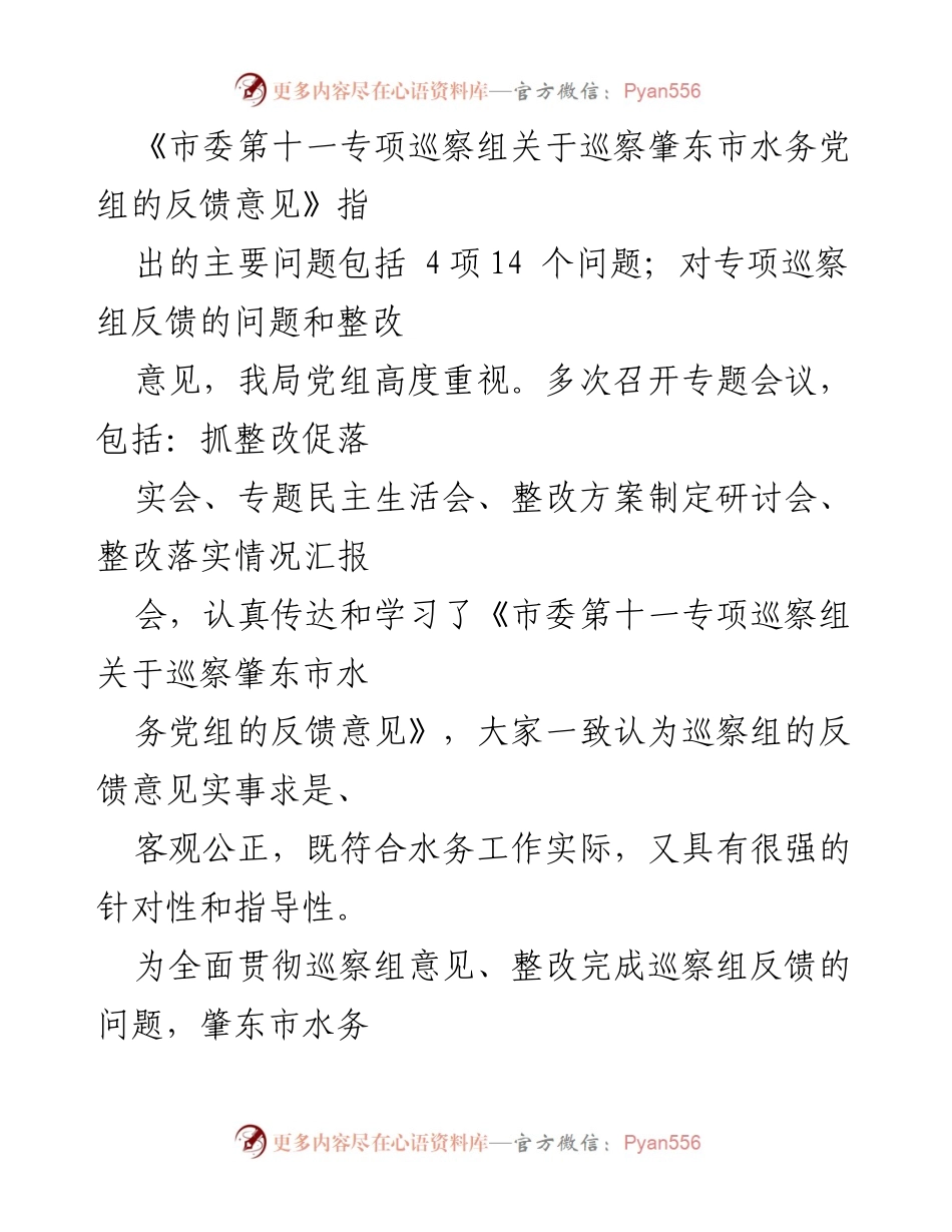 [整改报告] 巡察整改 - XX市水务局党组关于市委第十一专项巡察组反馈意见的整改情况报告.docx_第2页