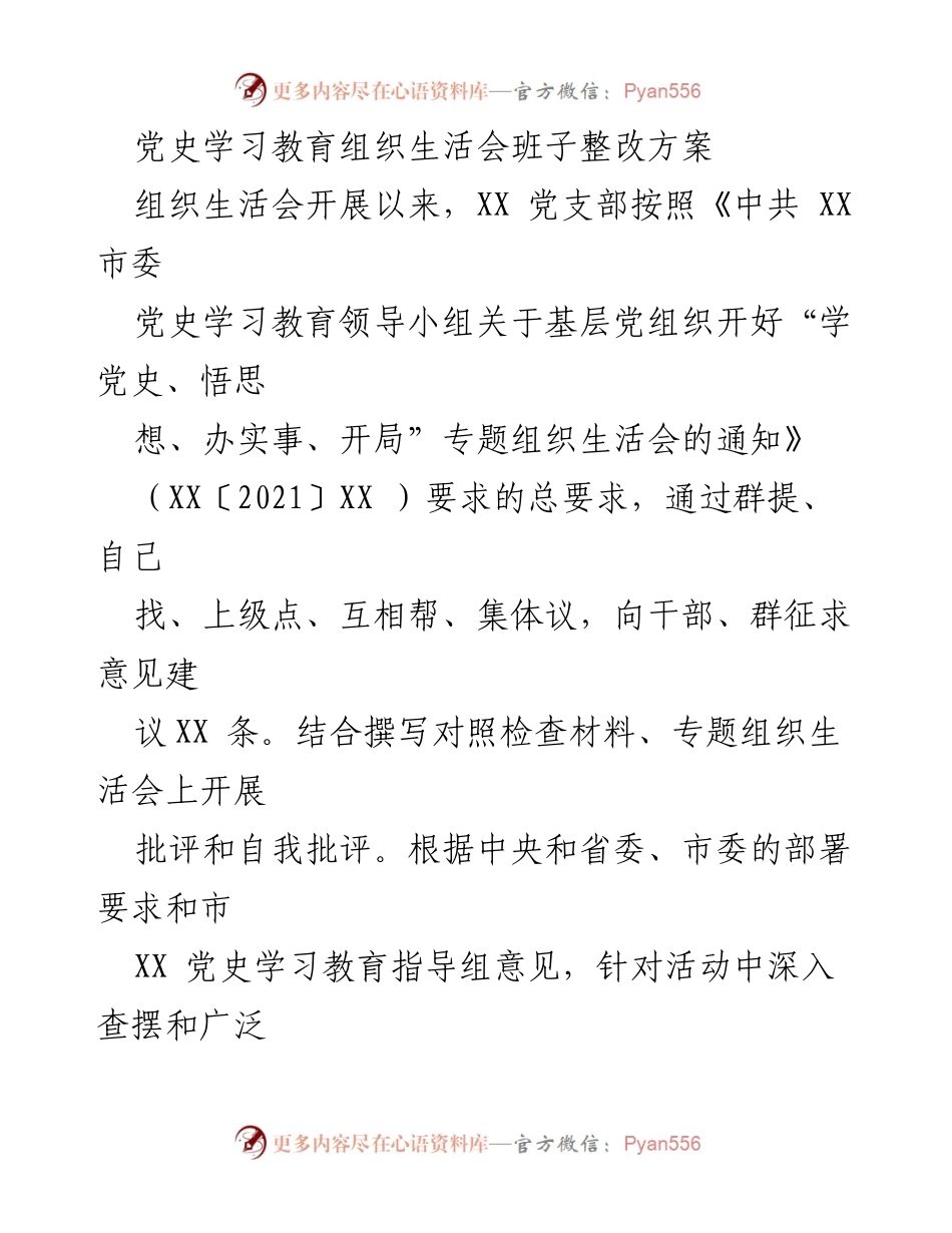 [整改方案] 组织生活会 - 党支部班子整改方案总结.docx_第1页