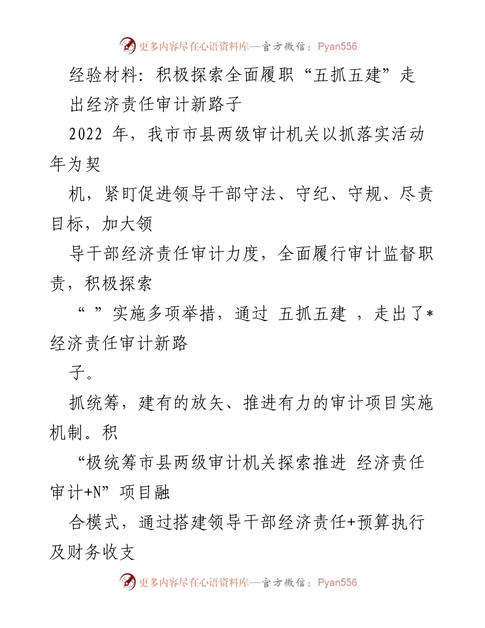 [经验材料] 审计工作会议 - 探索经济责任审计新路子的实践与成效.docx_第1页