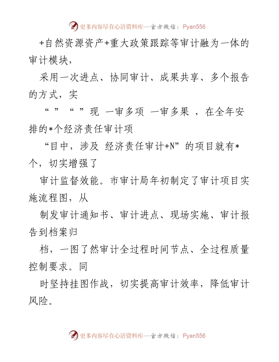[经验材料] 审计工作会议 - 探索经济责任审计新路子的实践与成效.docx_第2页