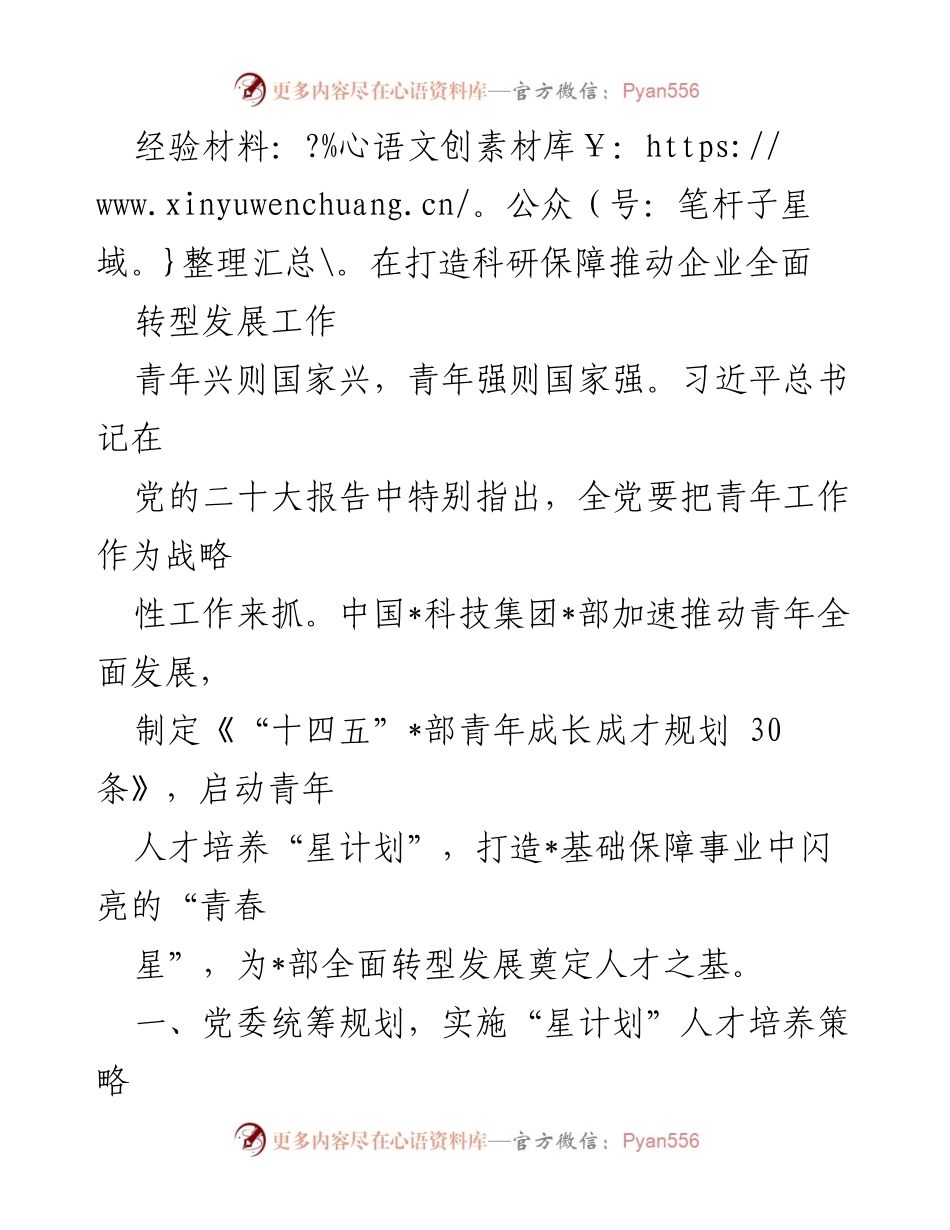 [经验材料] 企业转型发展 - 打造“青春星”：推动青年人才培养助力企业转型发展.docx_第1页