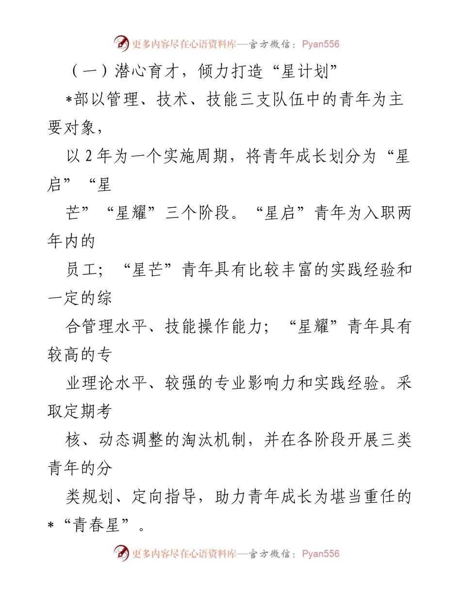 [经验材料] 企业转型发展 - 打造“青春星”：推动青年人才培养助力企业转型发展.docx_第2页