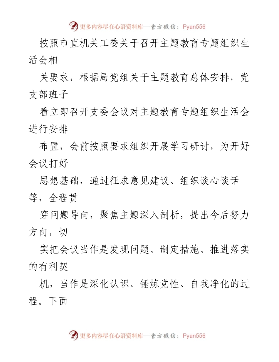 [检查材料] 党支部班子整改 - 2024年党支部班子整改检查材料分析与问题查找.docx_第2页