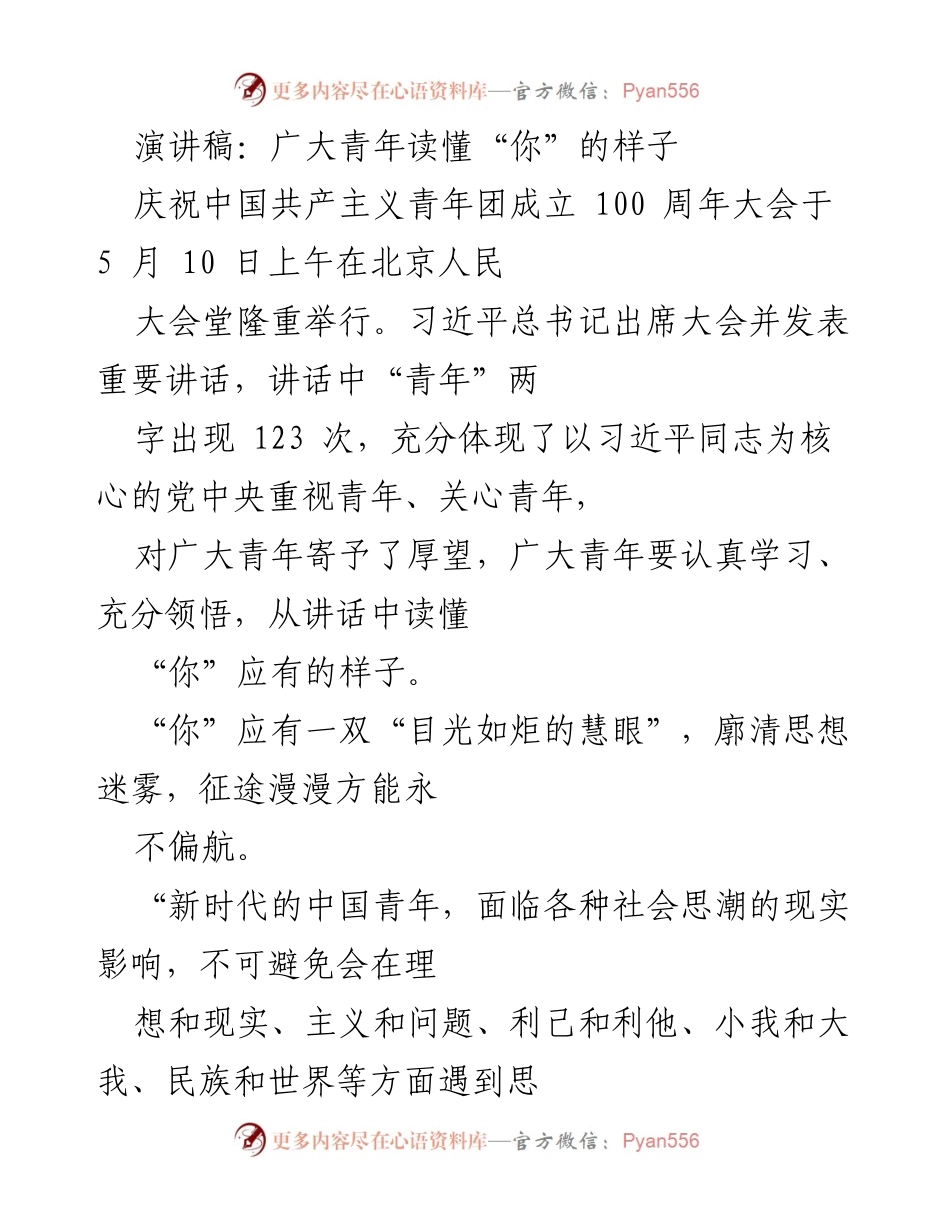 [演讲稿] 庆祝大会 - 青年使命与担当的光辉篇章.docx_第1页