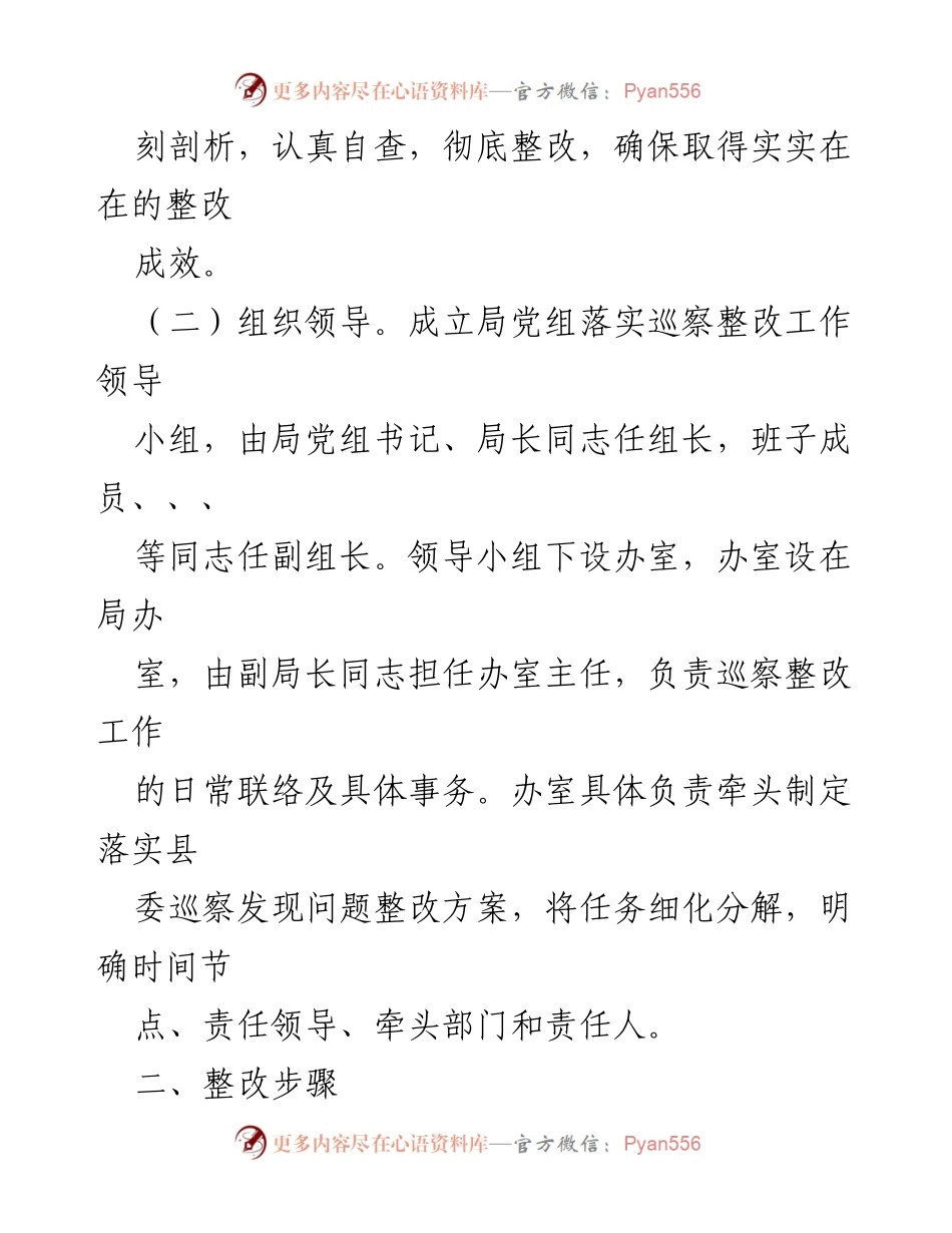 [整改方案] 巡察反馈 - XX县巡察组整改落实方案_1.docx_第2页