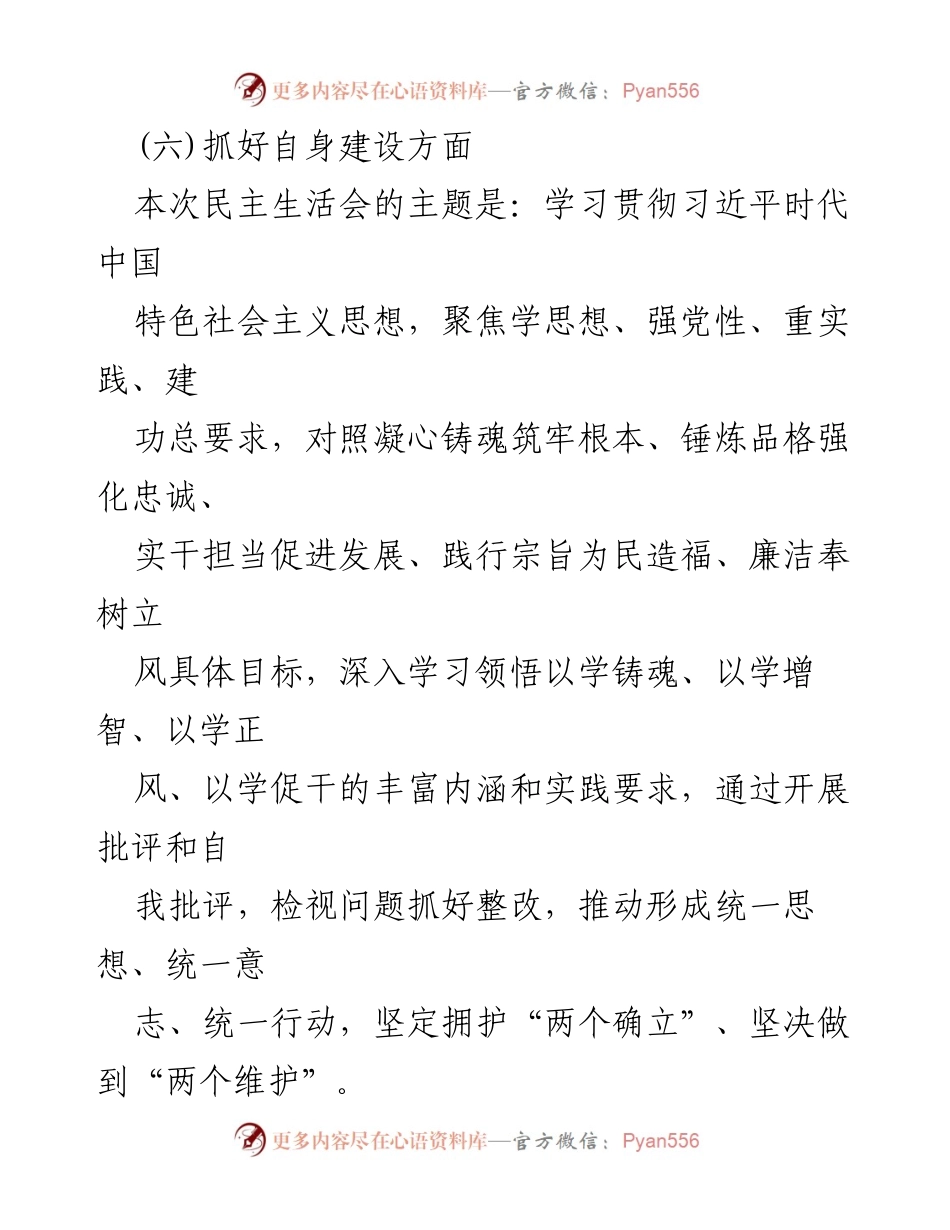 [整改材料] 党支部民主生活会 - 党支部班子存在问题整改对照检查材料.docx_第2页