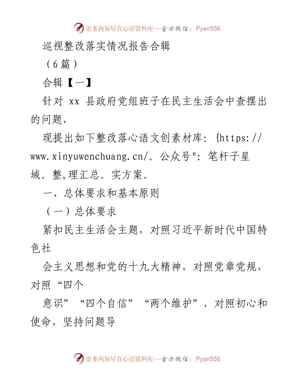 [整改报告] 政府工作 - 巡视整改落实情况报告合辑.docx_第1页