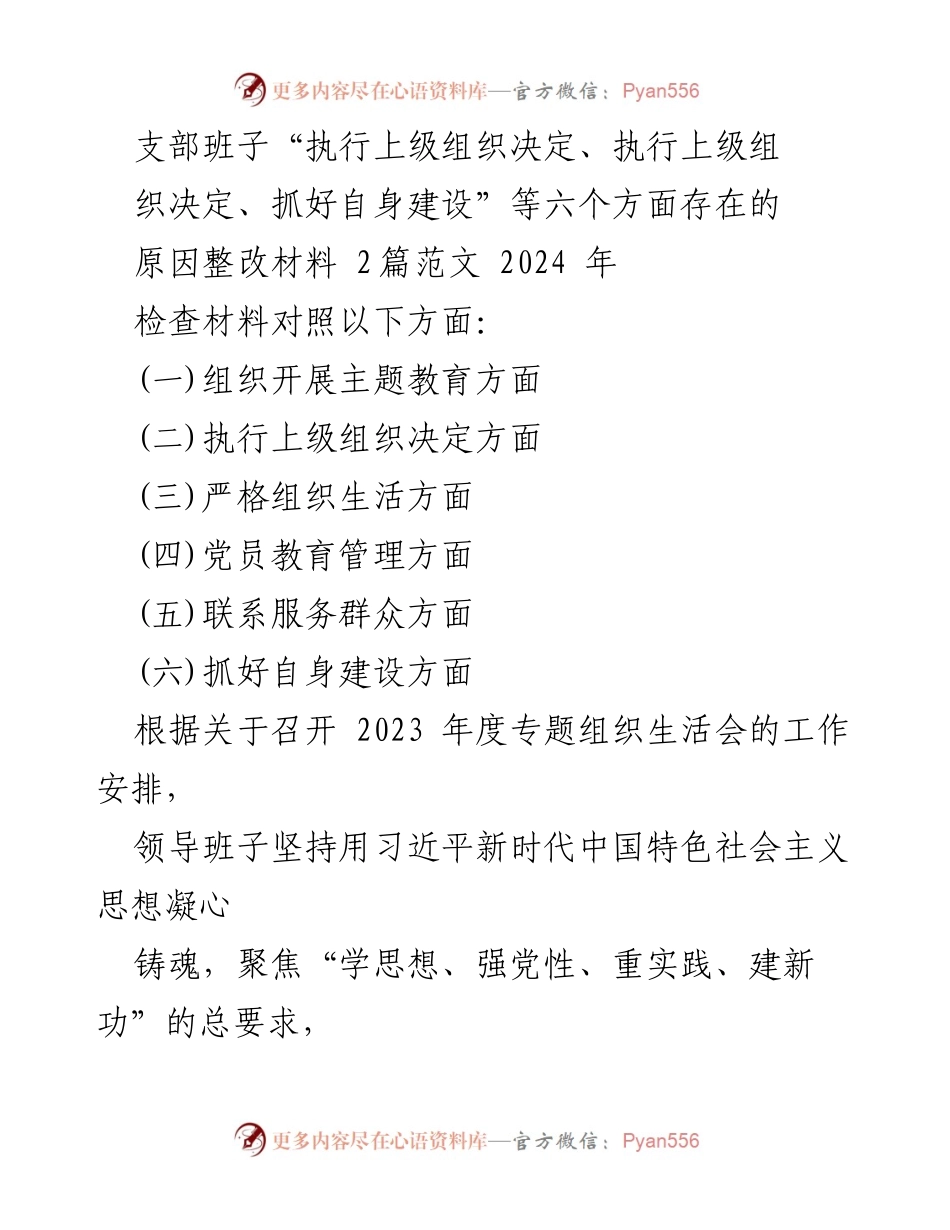 [整改材料] 组织生活会 - 支部班子整改措施及问题分析报告.docx_第1页