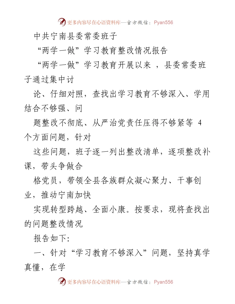 [整改报告] 党组织 - 中共宁南县委常委班子“两学一做”学习教育整改情况总结.docx_第1页