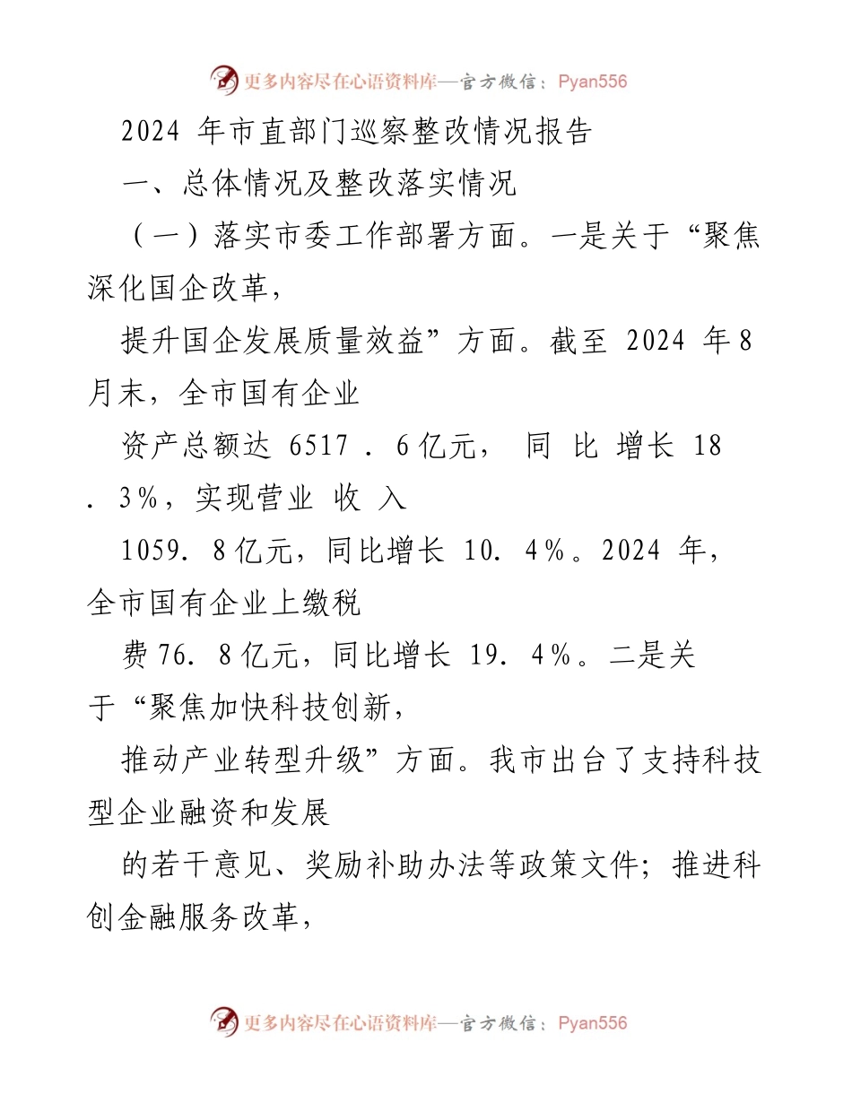 [整改报告] 市直部门巡察 - 2024年市直部门巡察整改情况总结报告.docx_第1页
