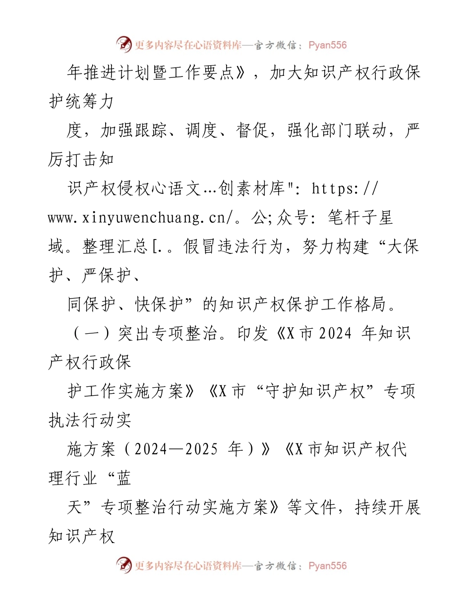 [新闻通气会] 知识产权保护工作 - 2024年X市知识产权保护工作情况通报.docx_第2页