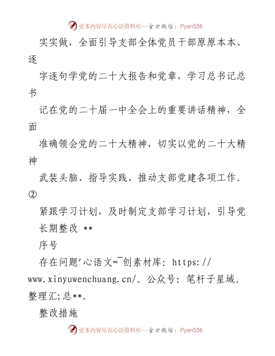 [整改报告] 党支部工作 - 第一党支部问题整改清单.docx_第2页