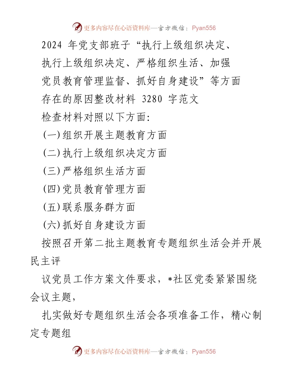 [整改材料] 党支部专题组织生活会 - 2024年党支部班子整改措施汇报.docx_第1页