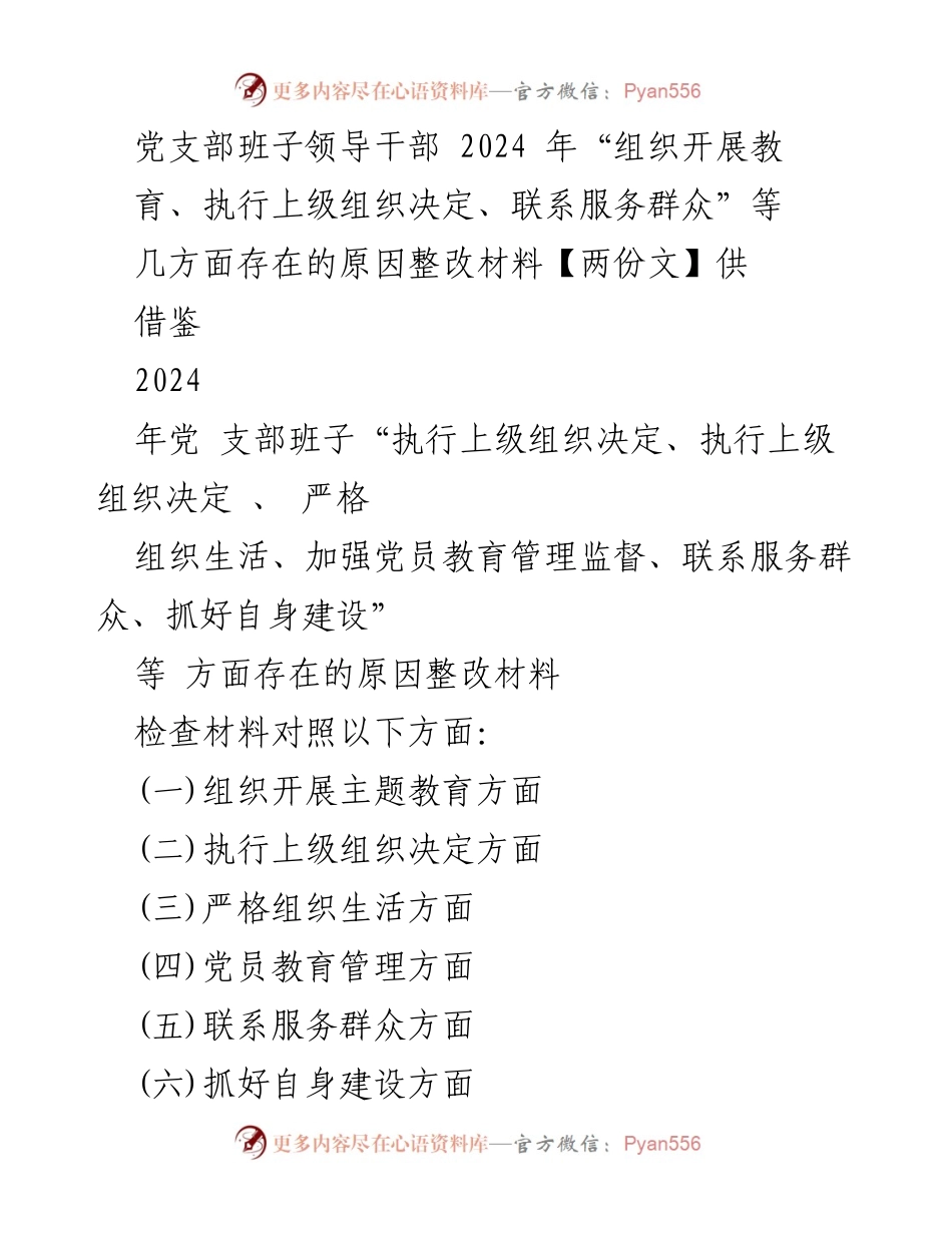 [整改材料] 党支部班子 - 2024年党支部班子整改措施及问题分析.docx_第1页