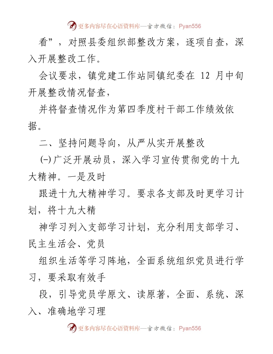 [整改报告] 基层党建工作 - 基层党建问题整改情况总结报告.docx_第2页