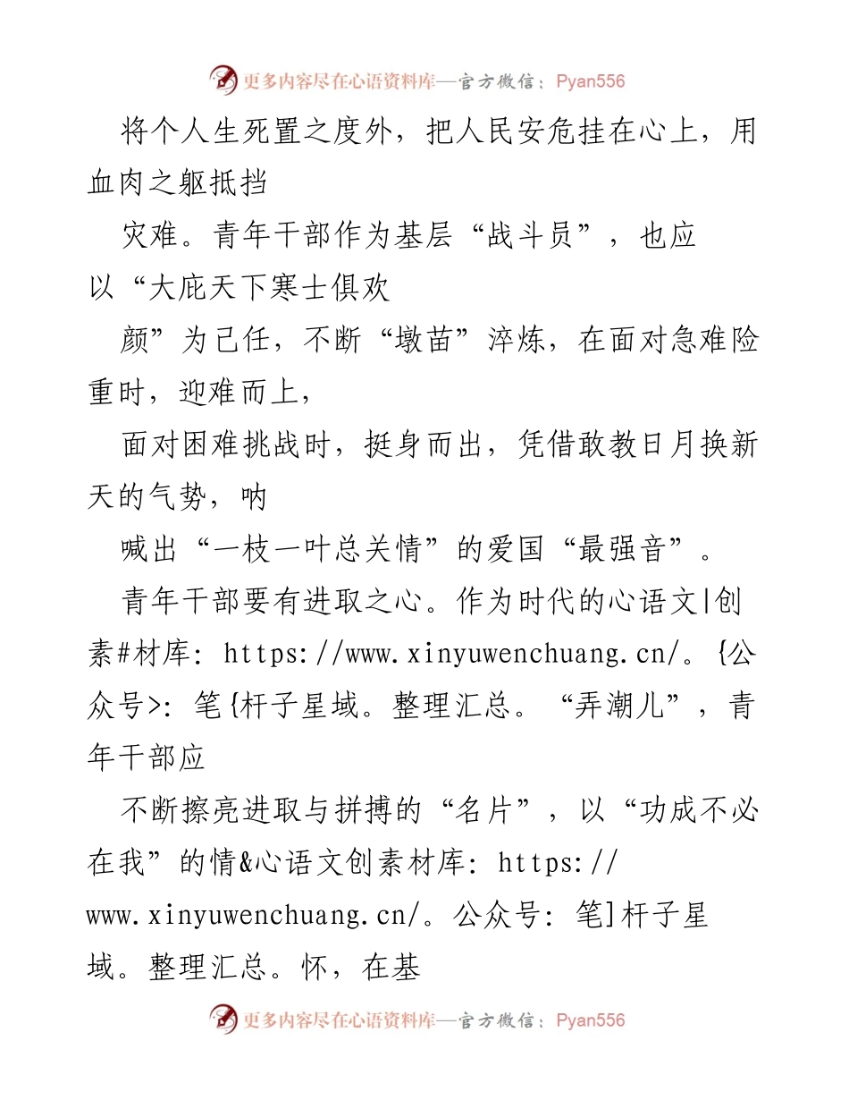 [演讲稿] 青年干部培训 - 争做一名“三心二意”的青年干部.docx_第2页