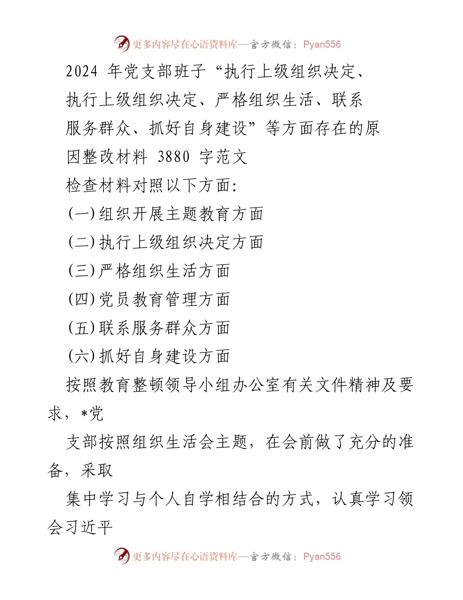 [整改材料] 党支部组织生活会 - 2024年党支部班子整改报告分析.docx_第1页