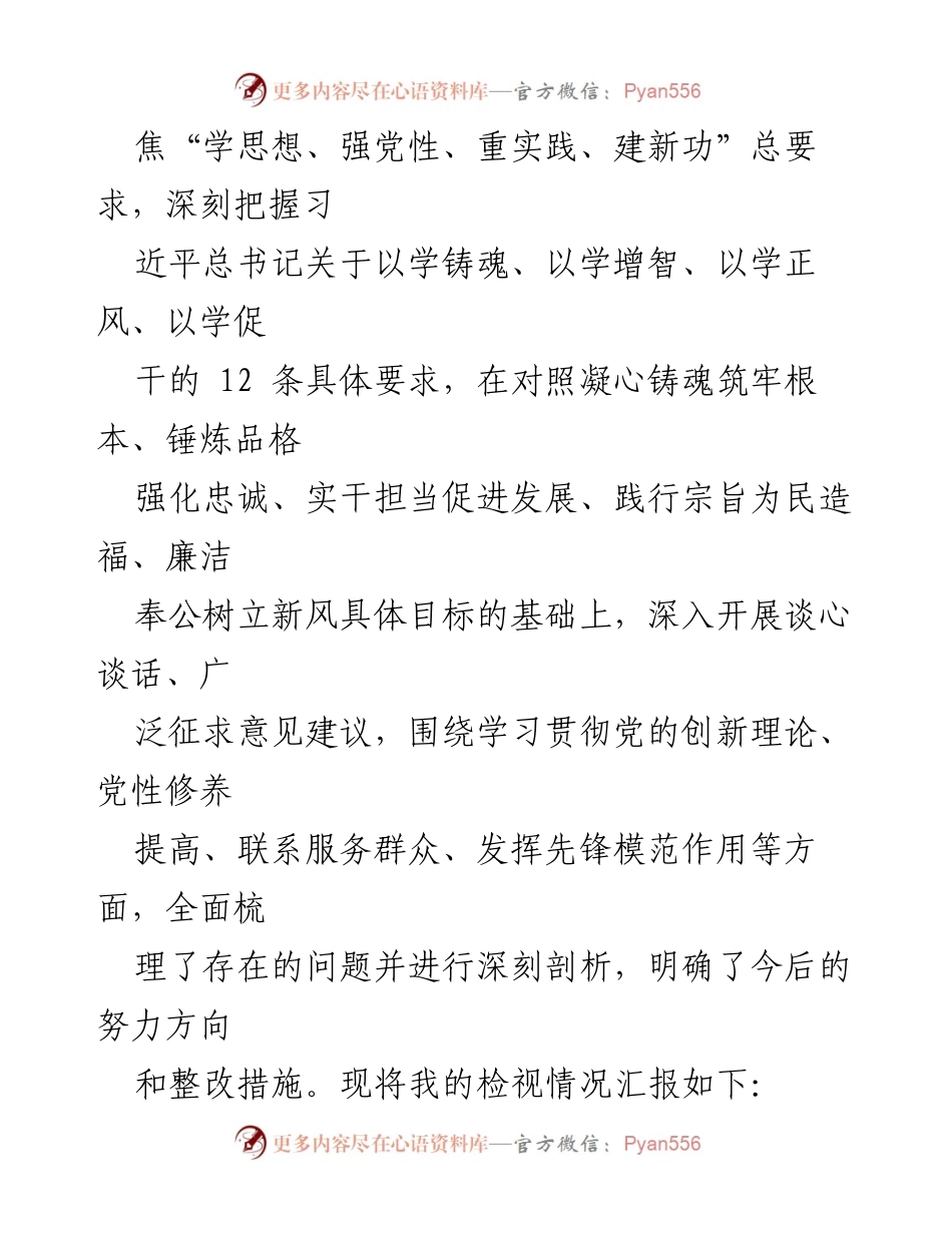 [检查材料] 党支部组织生活会 - 个人对照检视与整改情况总结.docx_第2页