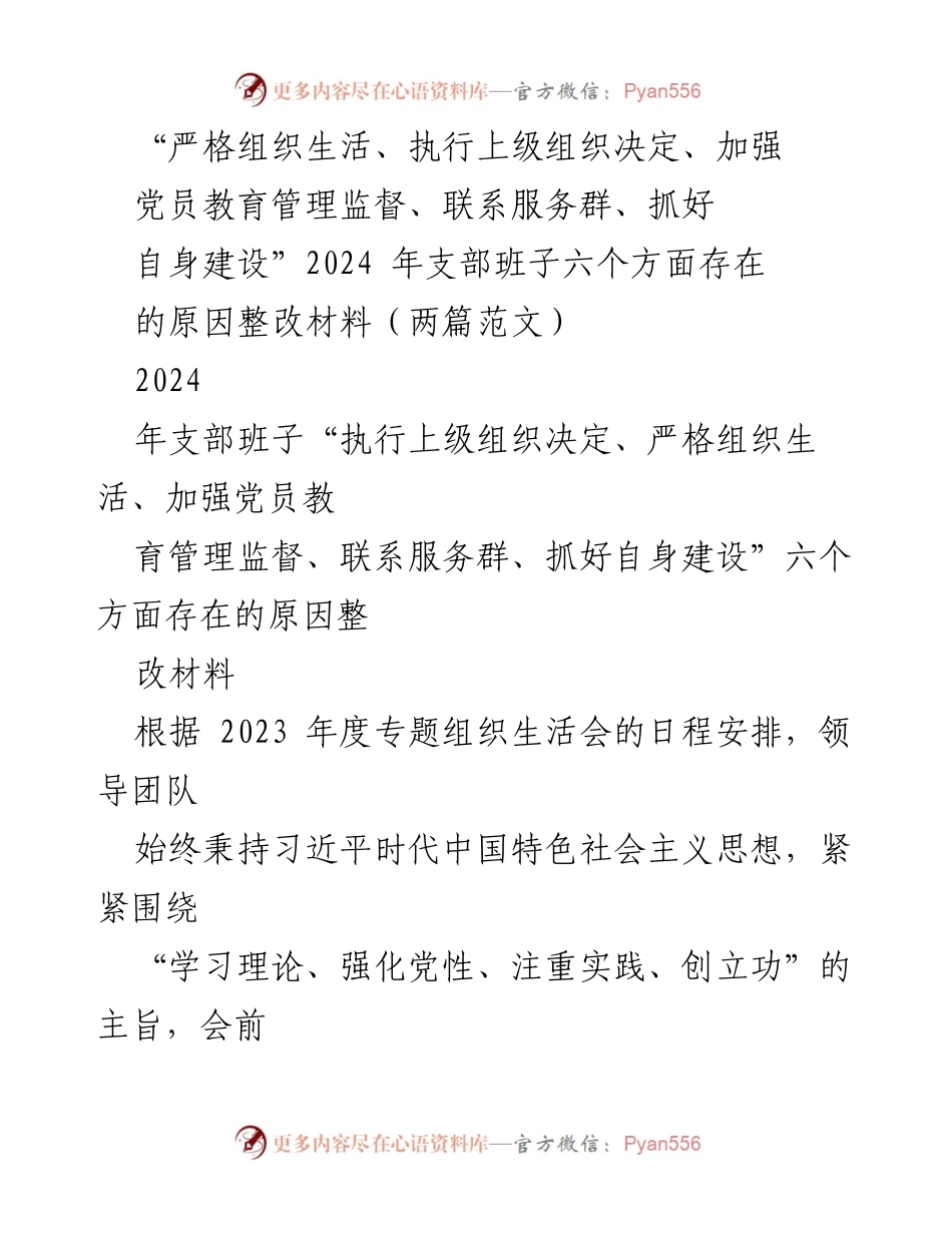 [整改材料] 党员组织生活会 - 2024年支部班子整改措施分析报告.docx_第1页