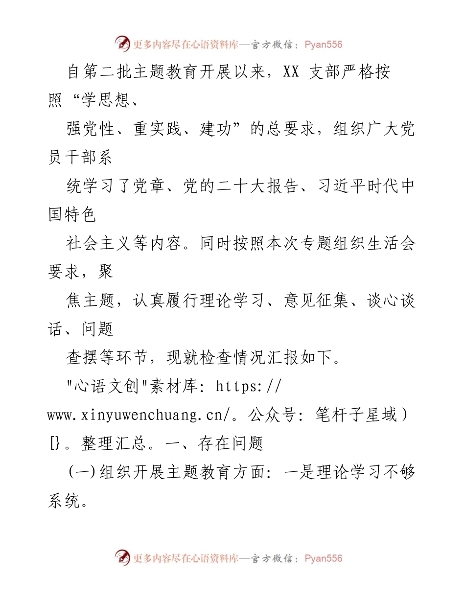 [整改材料] 党支部工作会议 - 2024年党支部班子整改措施汇报：六个方面问题分析与改进建议.docx_第2页