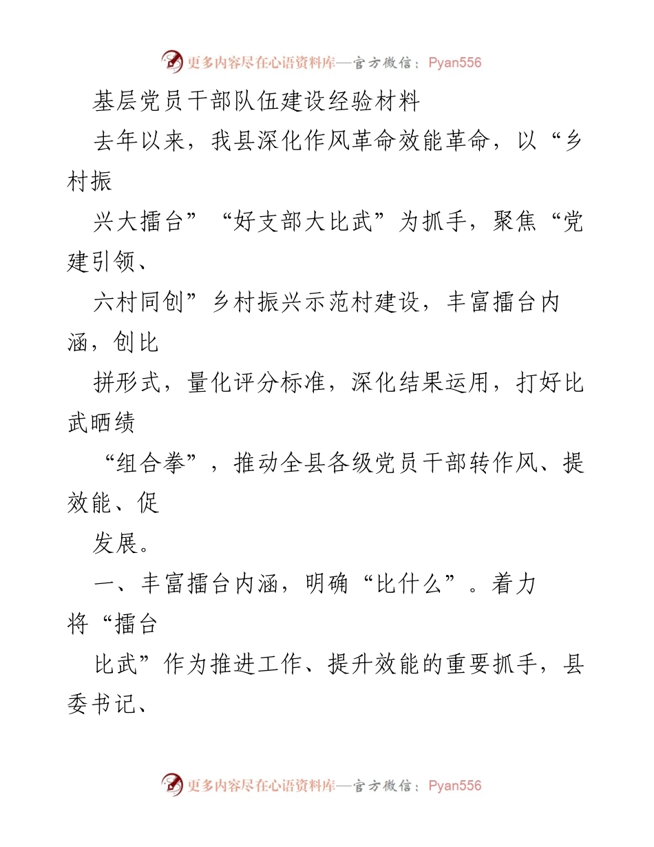 [经验材料] 乡村振兴活动 - 基层党员干部队伍建设的创新实践与成效.docx_第1页
