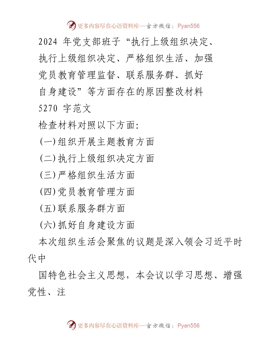 [整改材料] 党支部组织生活会 - 2024年党支部班子整改措施与自查报告.docx_第1页