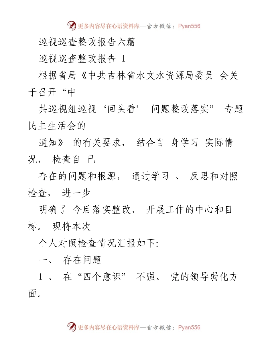 [整改报告] 巡视巡查 - 巡视巡查整改个人对照检查报告.docx_第1页