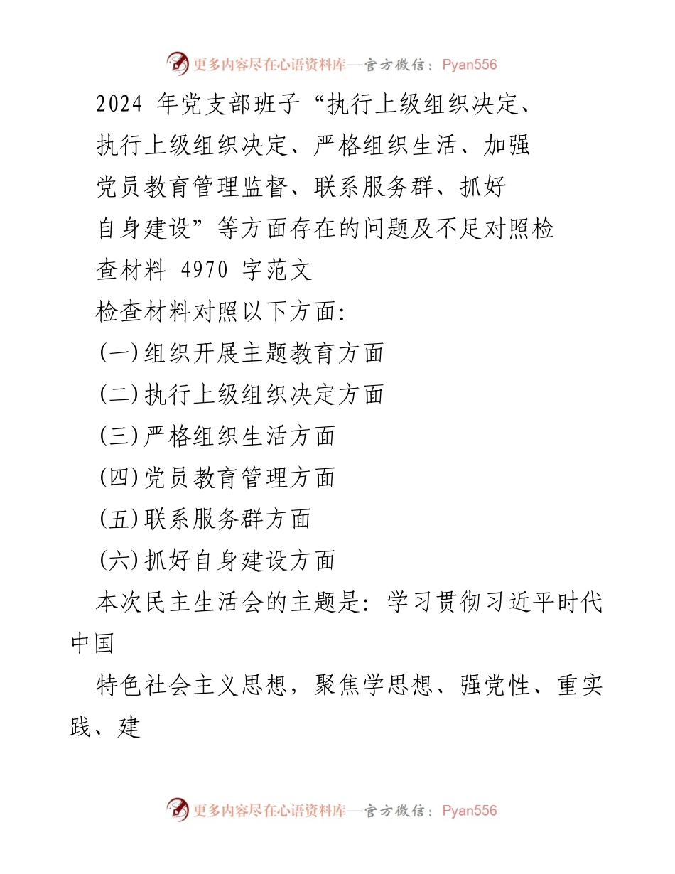 [检查材料] 党支部民主生活会 - 2024年党支部班子对照检视问题及整改措施报告.docx_第1页