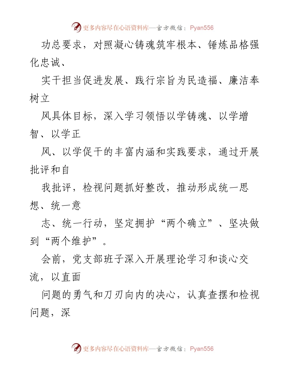 [检查材料] 党支部民主生活会 - 2024年党支部班子对照检视问题及整改措施报告.docx_第2页
