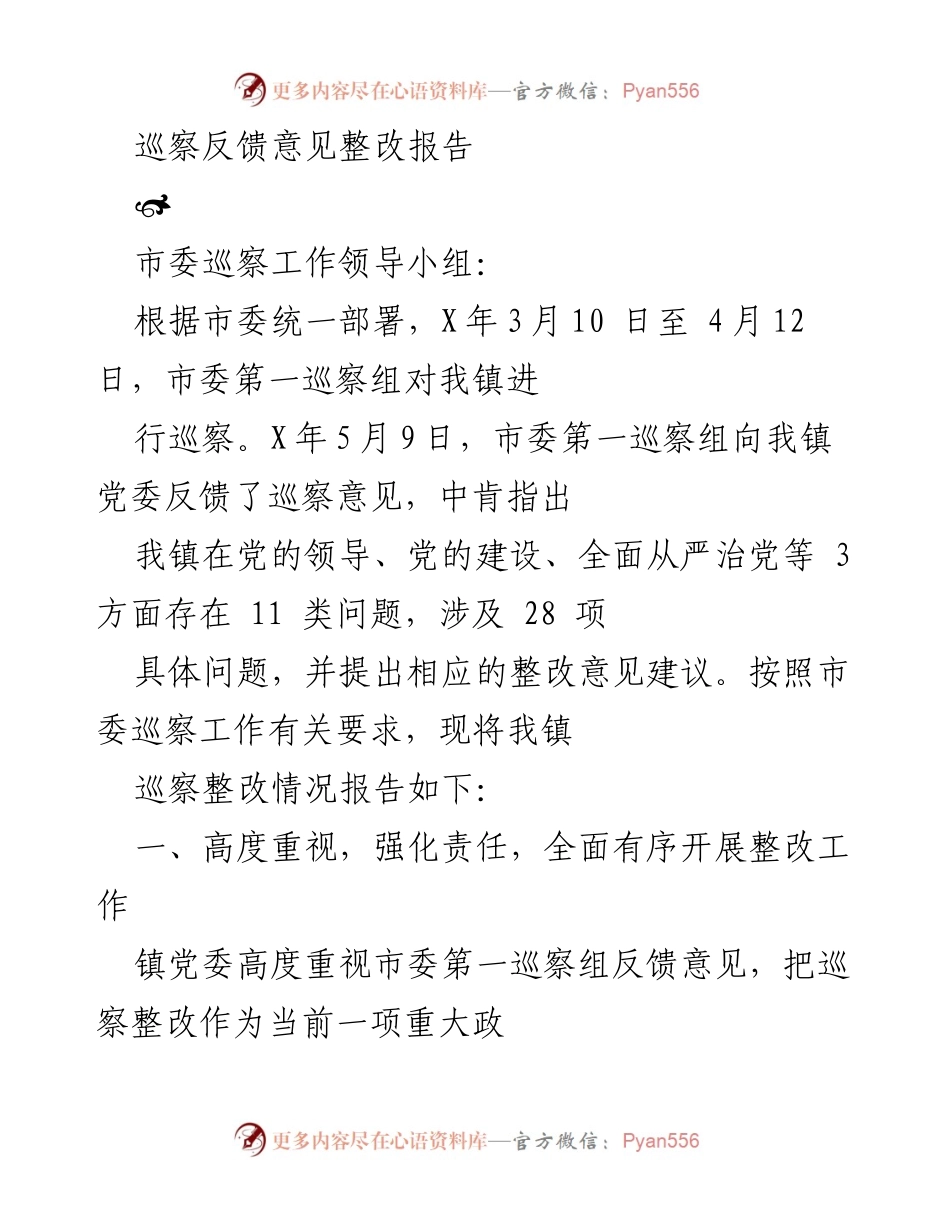 [整改报告] 巡察反馈 - 巡察反馈意见整改工作实施情况报告.docx_第1页