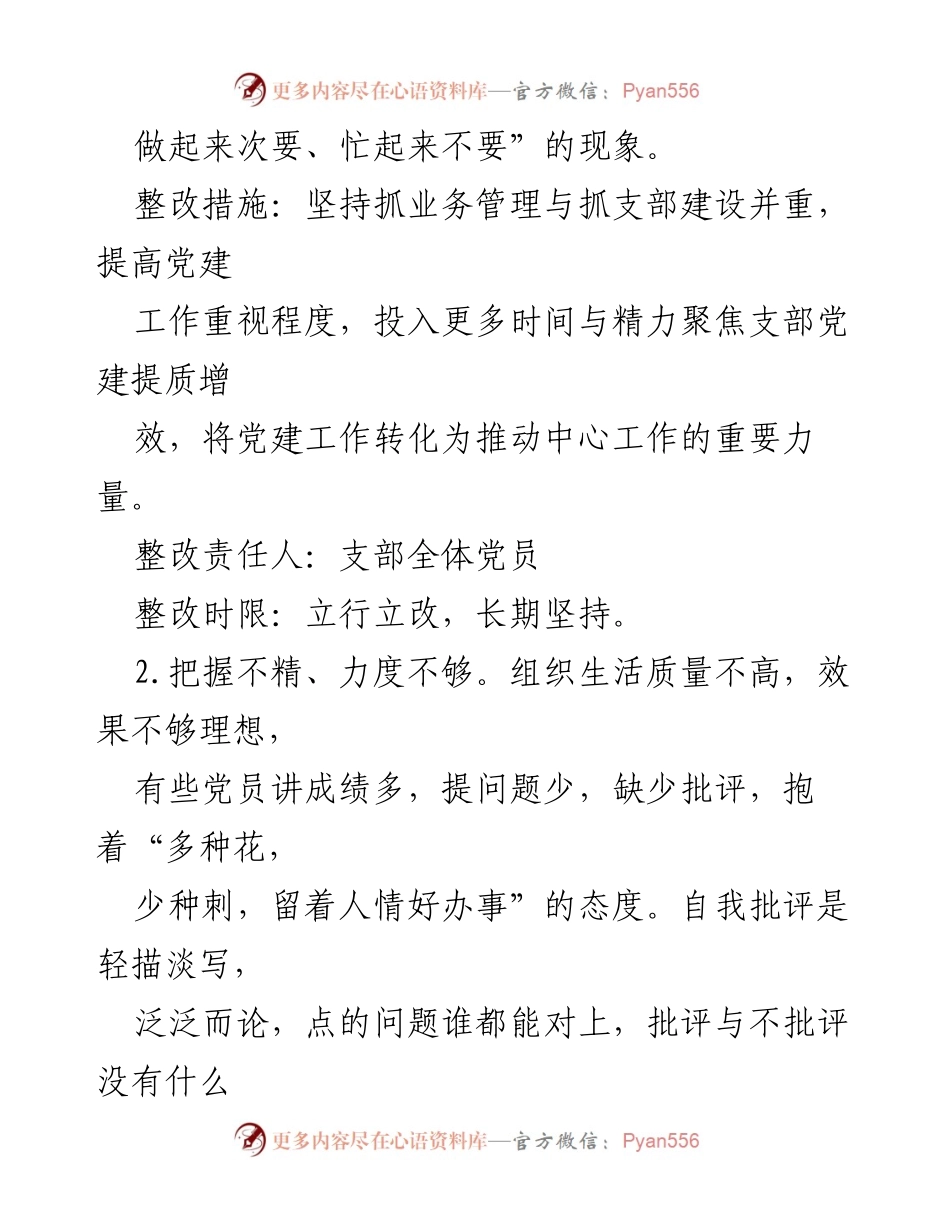 [整改报告] 党支部组织生活会 - 青年人才支部整改清单及措施.docx_第2页