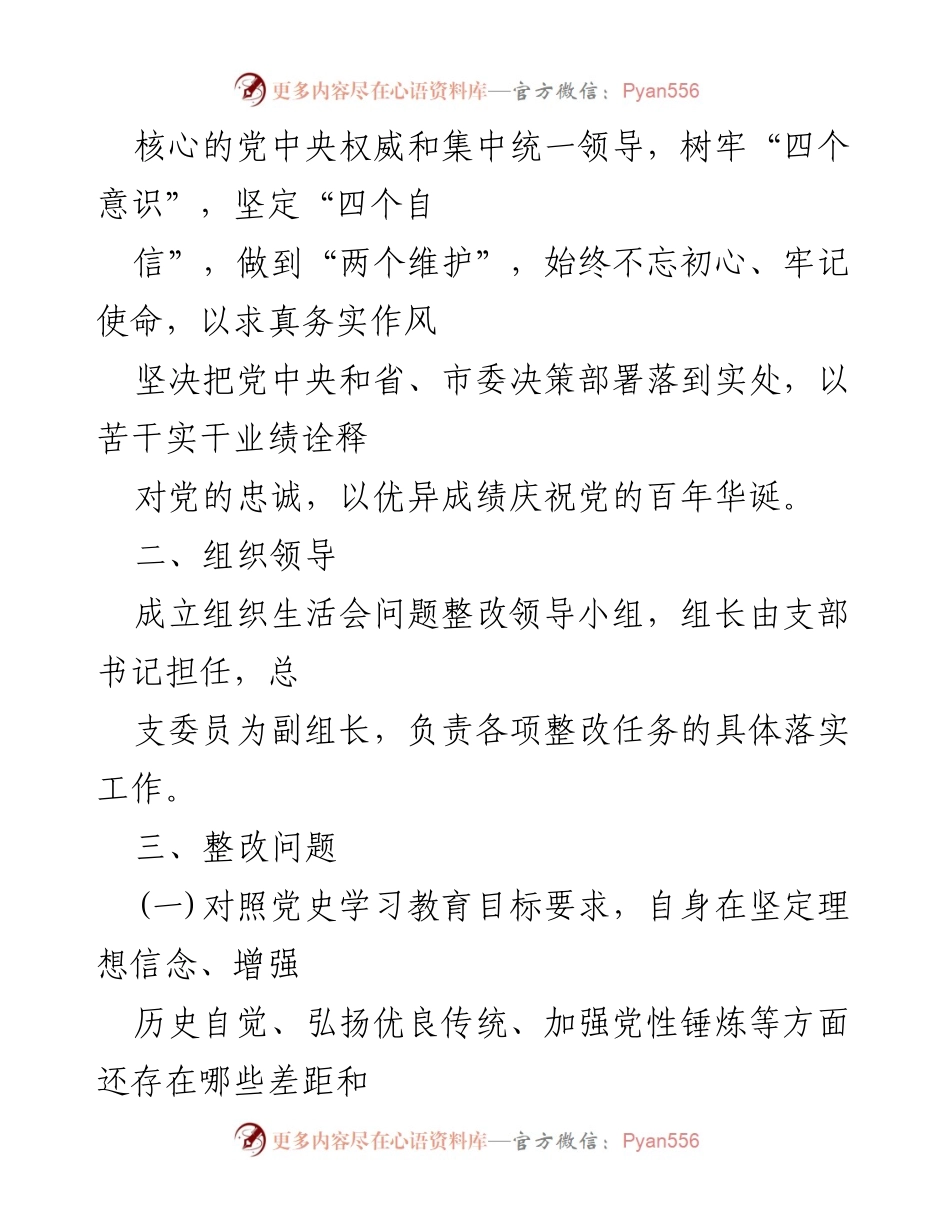 [整改方案] 党支部民主生活会 - 党史学习教育整改实施方案.docx_第2页