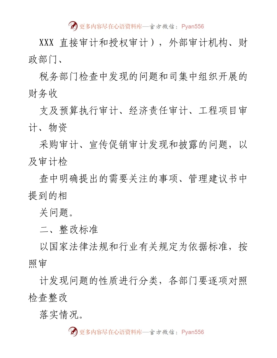 [方案] 审计整改工作 - 审计整改工作实施方案.docx_第2页
