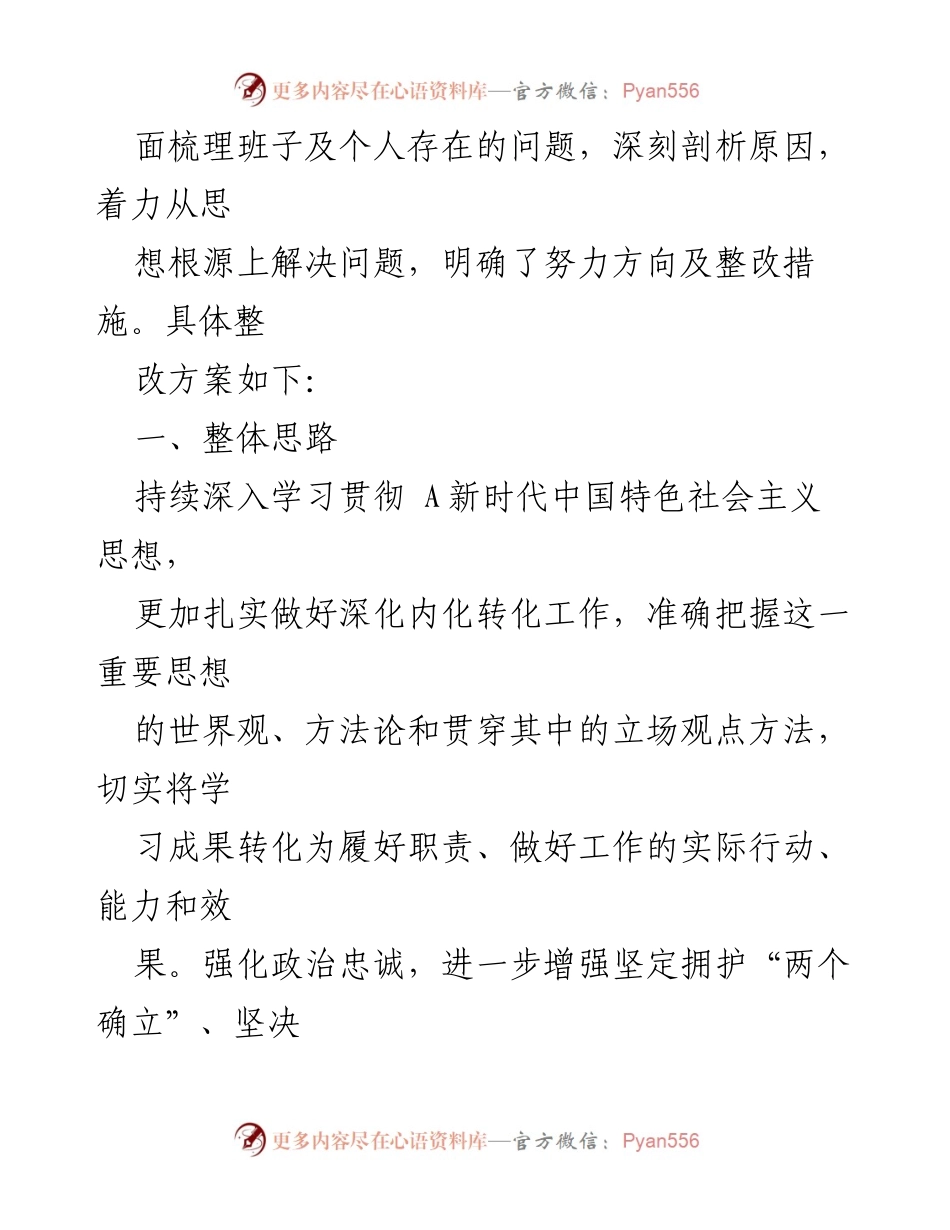 [整改方案] 主题教育民主生活会 - 深化主题教育整改实施方案.docx_第2页